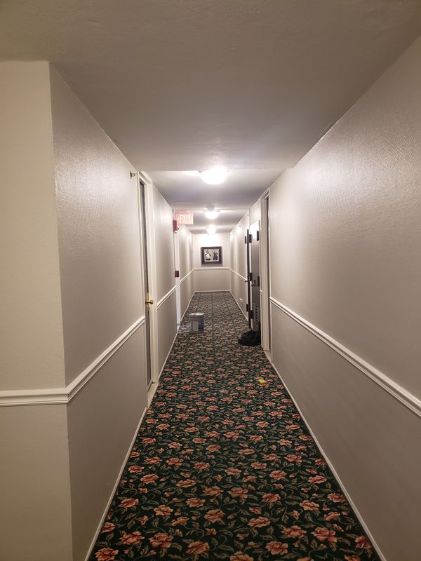 Apartment building corridor after repainting with chair rail detail