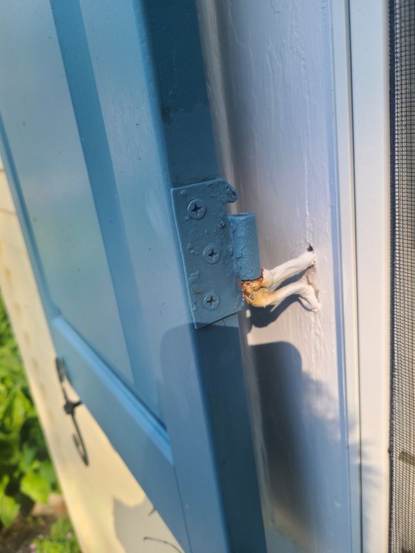 Shutter hinge and caulk detail on a finished exterior